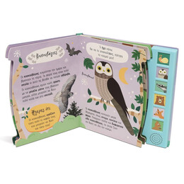 ΑΚΟΥΩ ΚΑΙ ΕΞΕΡΕΥΝΩ ΤΟ ΔΑΣΟΣ