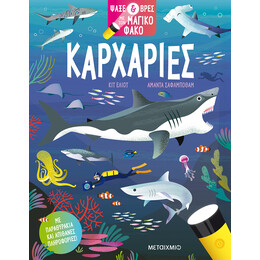 Ψάξε & βρες με τον μαγικό φακό: Καρχαρίες