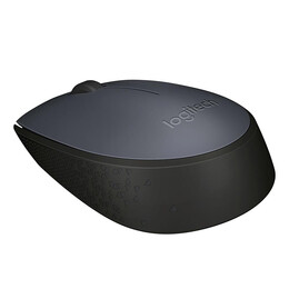 Logitech M170 Optical Mouse (910-004642) (Logm170)