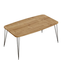 Τραπεζάκι Σαλονιού ArteLibre FEMI Δρυς Μοριοσανίδα/Μέταλλο 50x90x40cm