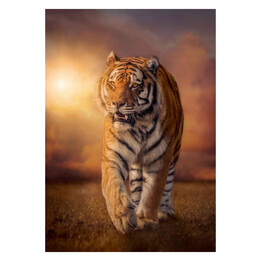 Clementoni Παζλ High Quality Collection Τίγρης 1500 τμχ