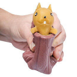 AS Ζουληχτό Δέντρο - Σκίουρος Για 3+ Χρονών