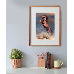 Clementoni Παζλ High Quality Collection Άγριο Άλογο 500 τμχ