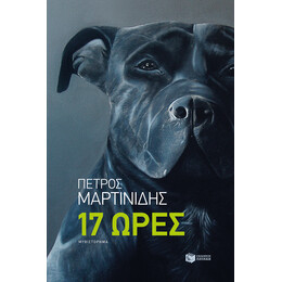 17 Ώρες