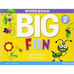 Big fun 2 Workbook (+cd-Rom)