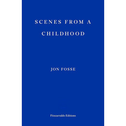 Scenes From a Childhood pb