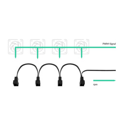 ARCTIC PST Cable Rev2. - PWM Sharing Cable for PC fans - 4 outputs