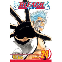 Bleach 24 pa