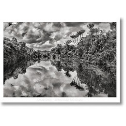 Sebasti?o Salgado. Amazοnia. Poster jau River