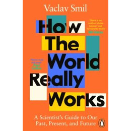 How the World Really Works : a Scientist's Guide to our Past, Present and Future