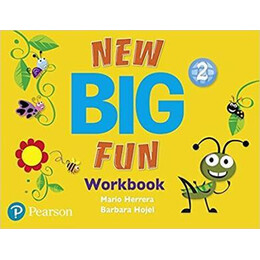 New big fun 2 Workbook (+cd)