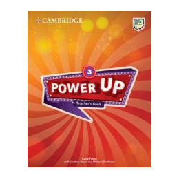Power up 3 Teacher's Book