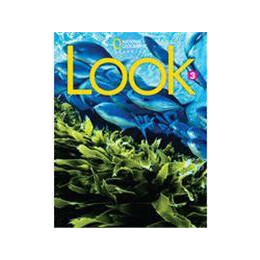 Look 3 Workbook