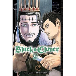 Black Clover: vol 25