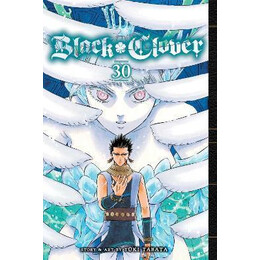 Black Clover: vol 30