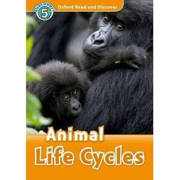 Animal Life Cycles