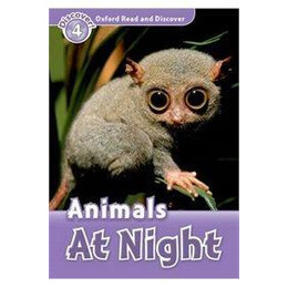 Animals at Night