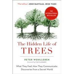 Hidden Life of Trees