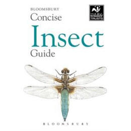 Concise Insect Guide