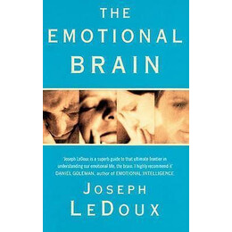The Emotional Brain