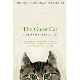 The Guest cat