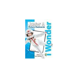 I Wonder Junior a Picture Flashcards