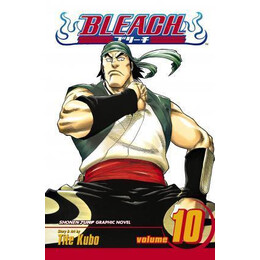 Bleach: vol 10
