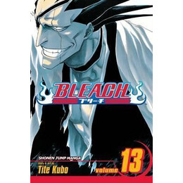 Bleach: vol 13