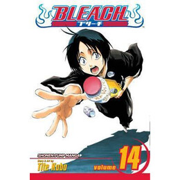 Bleach: vol 14