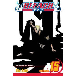 Bleach: vol 15