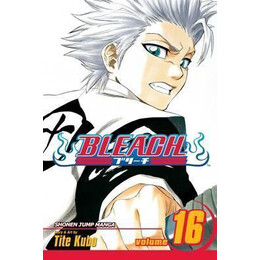 Bleach: vol 16