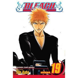 Bleach: vol 19