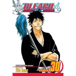 Bleach: vol 30