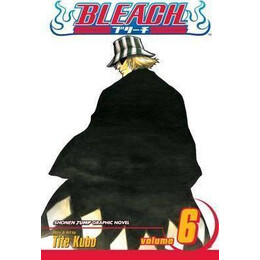 Bleach: vol 06