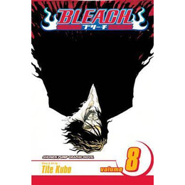 Bleach: vol 08