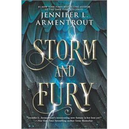 Storm and Fury