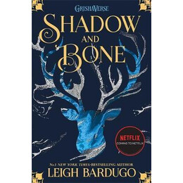 Shadow and Bone : Soon to be a Major Netflix Show