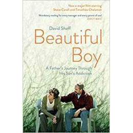 Beautiful boy : a Father's Journey Through his Son's Addiction