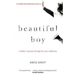 Beautiful boy : a Father's Journey Through his Son's Addiction