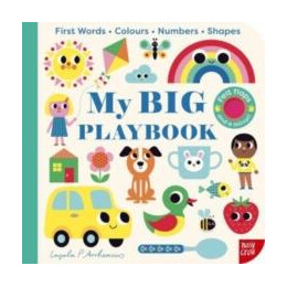 My big Playbook