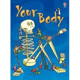 Your Body