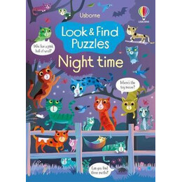 Look and Find Puzzles Night Time