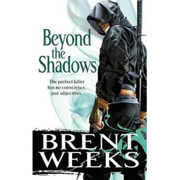 Beyond the Shadows : Book 3 of the Night Angel