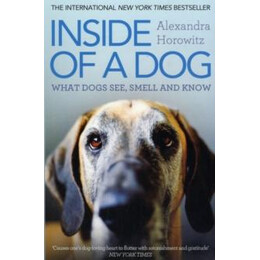 Inside of a dog