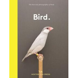 Bird.
