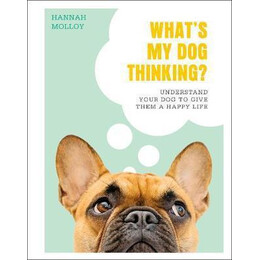 What's my dog Thinking? : Understand Your dog to Give Them a Happy Life