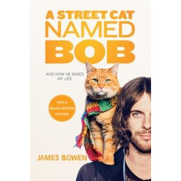 Street cat Named bob