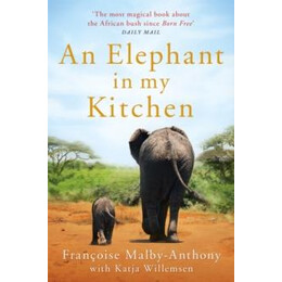 Elephant in my Kitchen