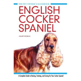 English Cocker Spaniel