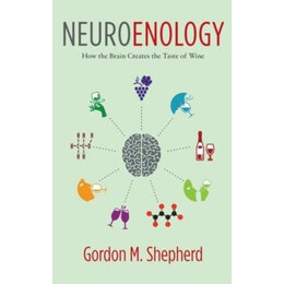 Neuroenology
